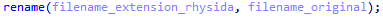 IDA: routine appending the .rhysida extension to the encrypted file